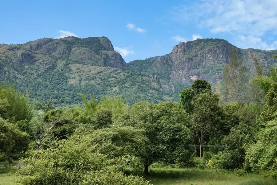 Nilgiri-hegység