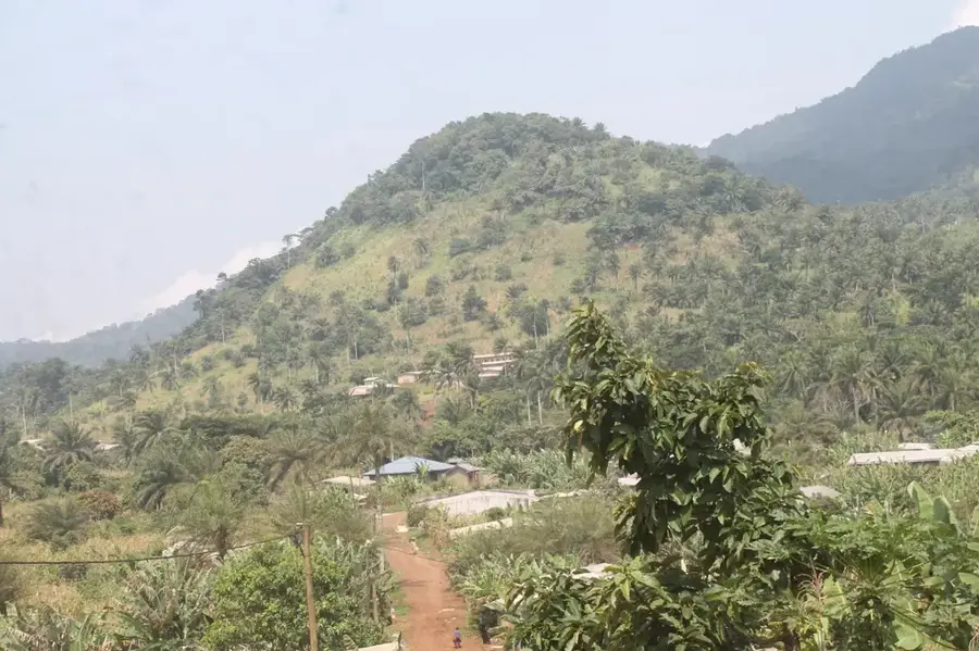 Nkam Lowland Forest — Manjo (Cameroon)