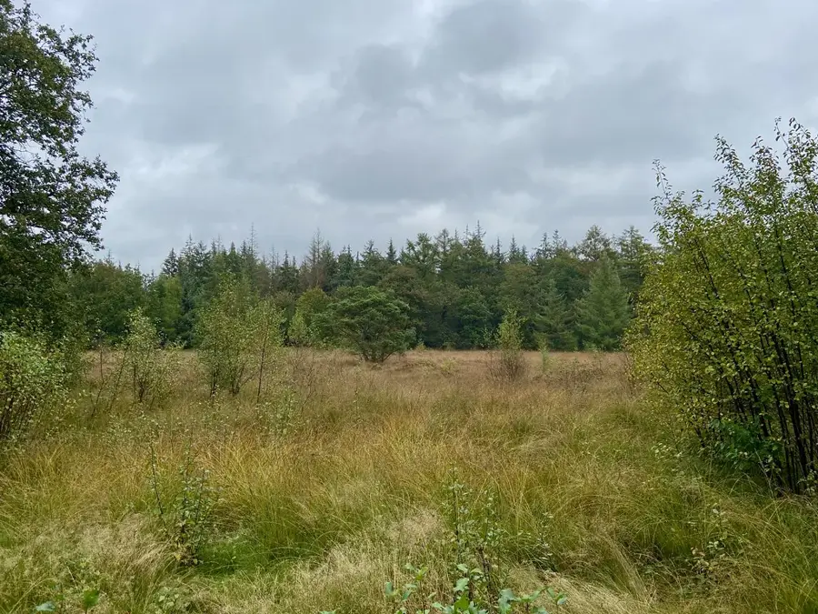 Mormintele megalitice din Drenthe