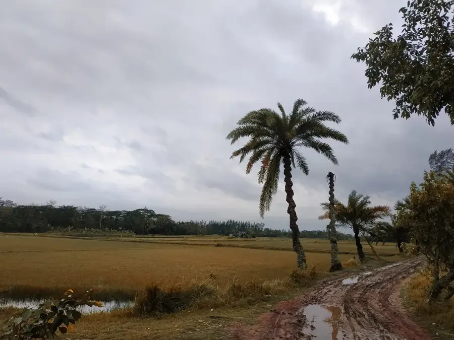 Noakhali