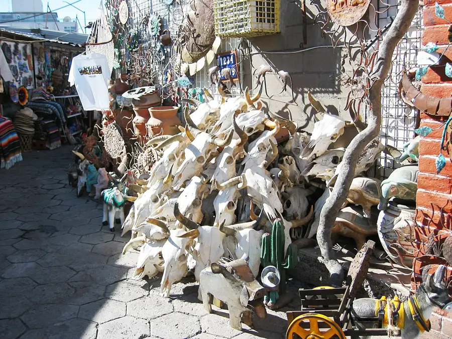 Nogales — Copper Canyon (Mexic)