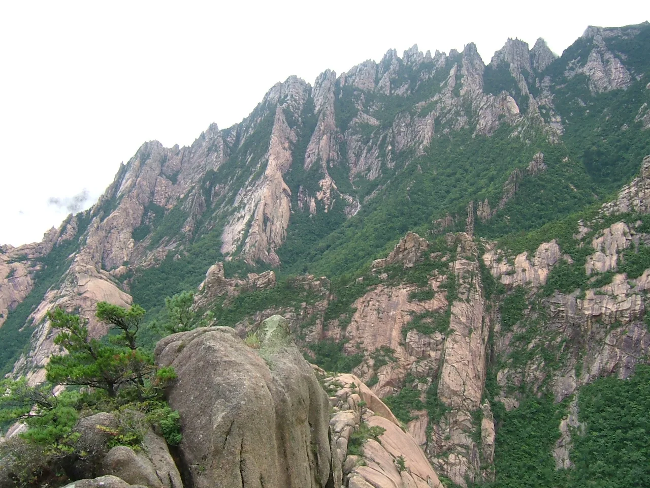 Yangdok