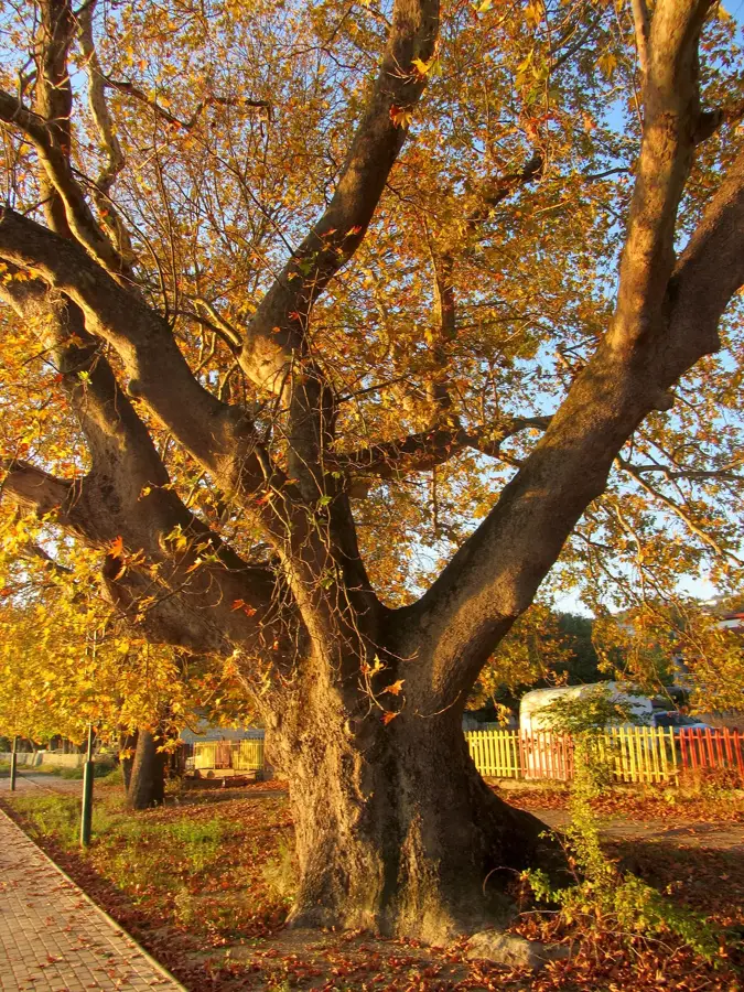 Dojran — Parcul eolian Bogdanci (Macedonia de Nord)
