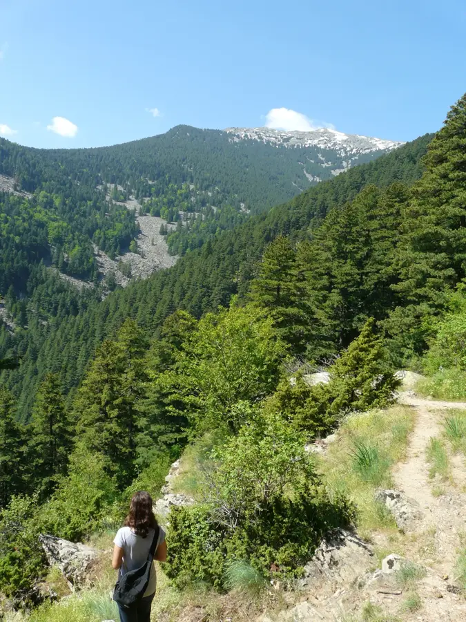 Pelister National Park — Lake Ohrid (Albania)