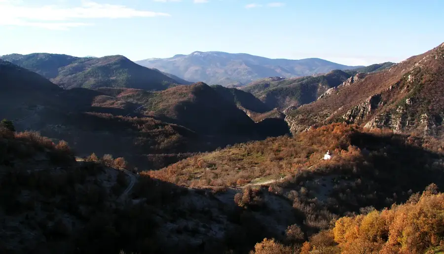 Koprivnica-Wald — Weingut Tikveš (Nordmazedonien)
