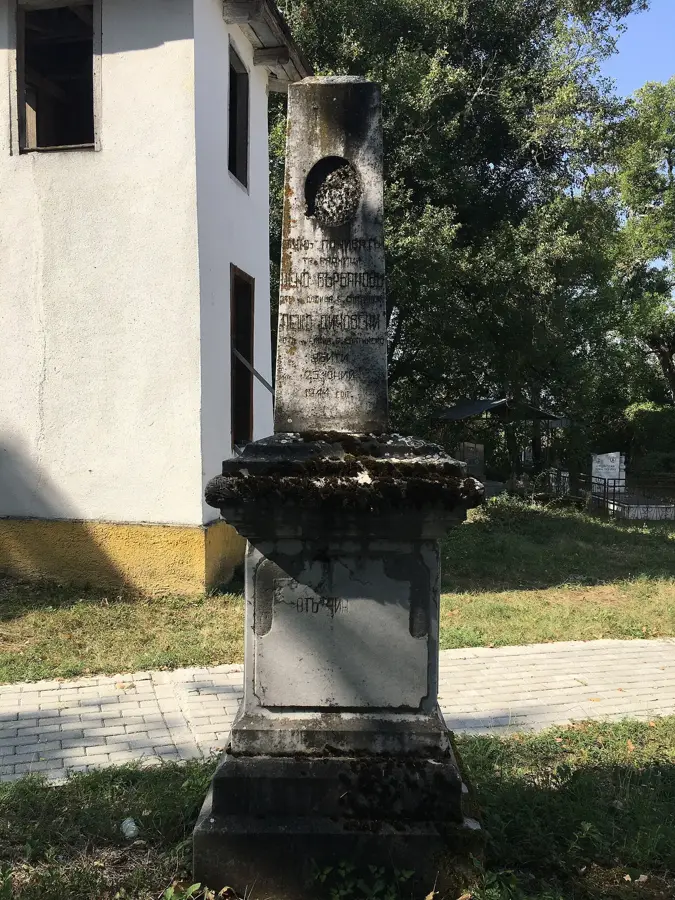 Verarbeitung Plasnica