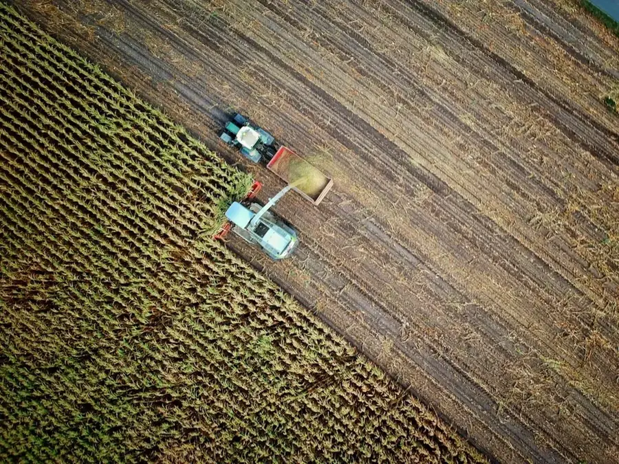 Economia Agricolă Vasilevo — Parcul eolian Bogdanci (Macedonia de Nord)