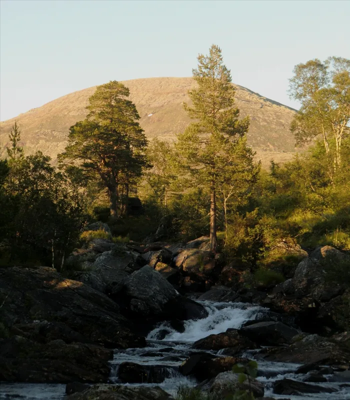 Blåfjella-Skjækerfjella National Park