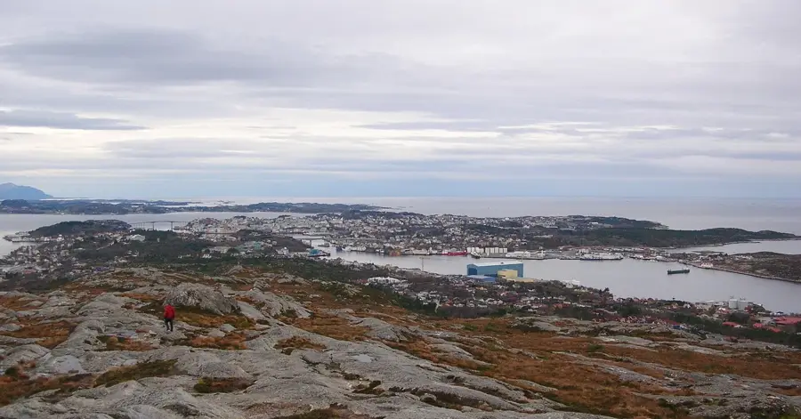 Byskogen