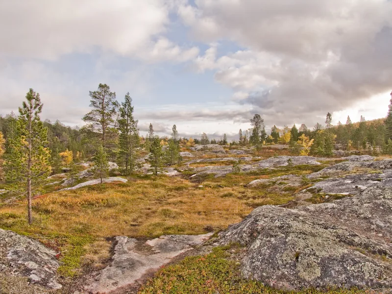 Dividalen National Park