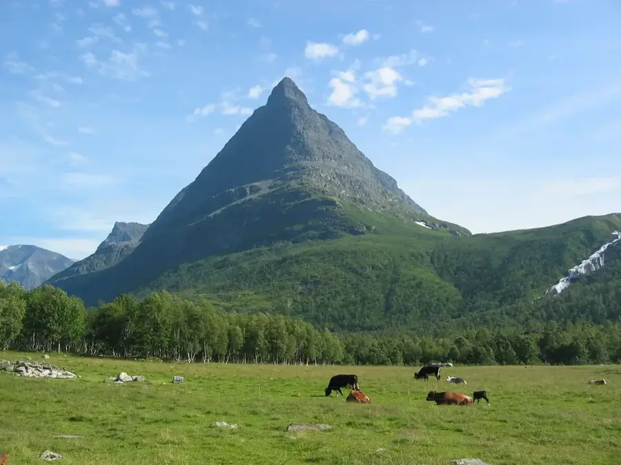 Dovrefjell-fennsík