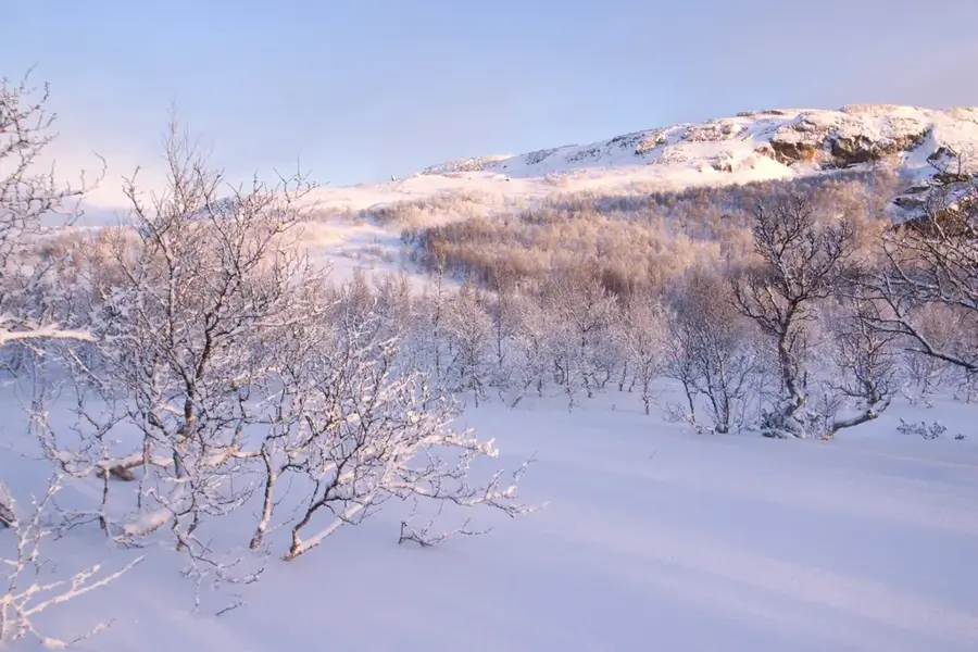 Femundsmarka National Park