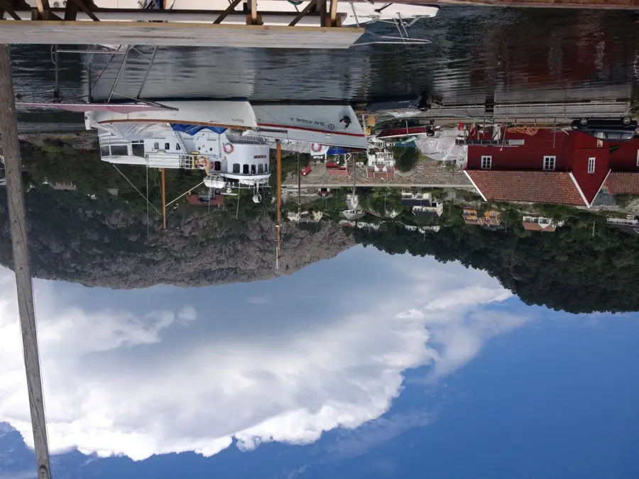 Sagvåg