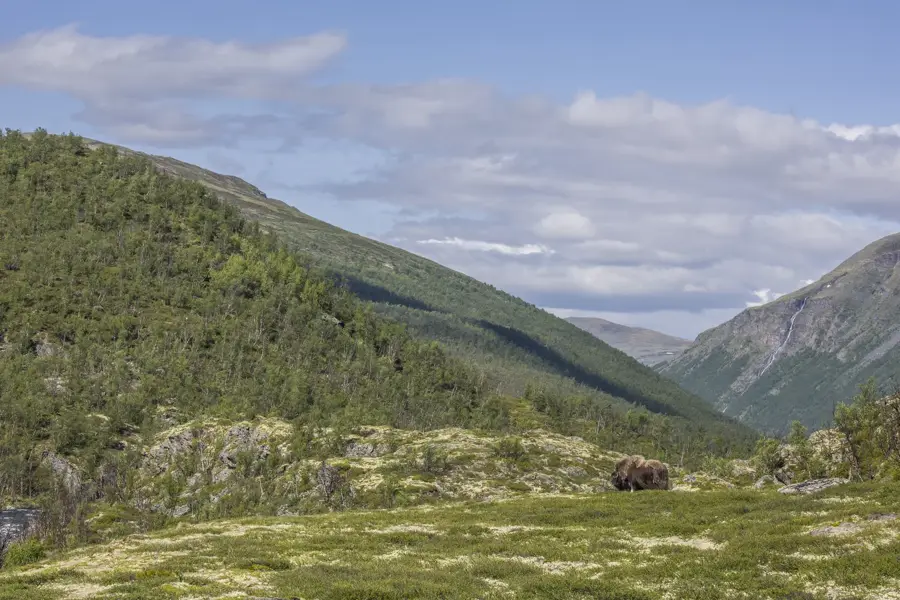 Sunndalsfjella (Norvégia)
