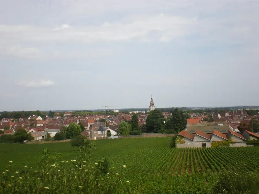 Nuits-Saint-Georges – Stadt