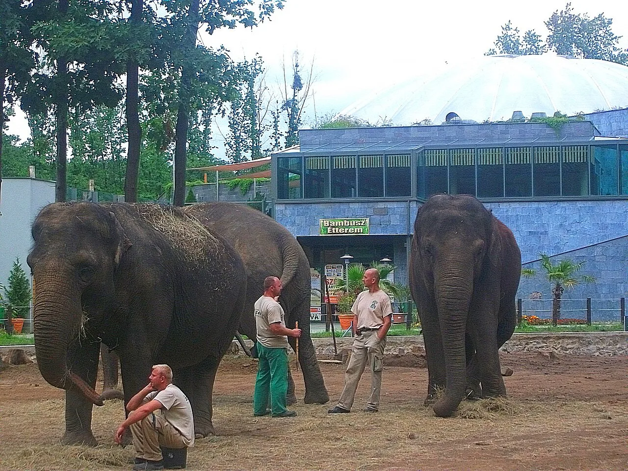 Sóstó Zoo — Nagyecsed (Ungarn)