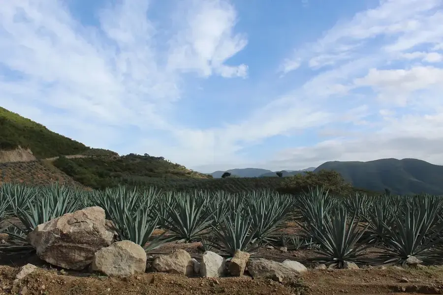 Oaxaca de Juárez — Santa María Colotepec (Mexiko)