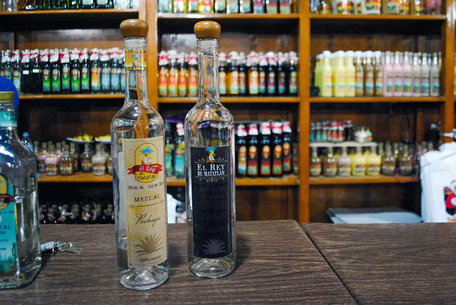 Mezcal-Agave in Oaxaca — Santa María Colotepec (Mexiko)