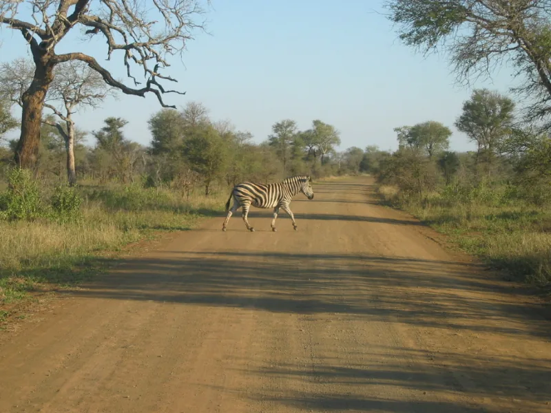 Olifants-Fluss