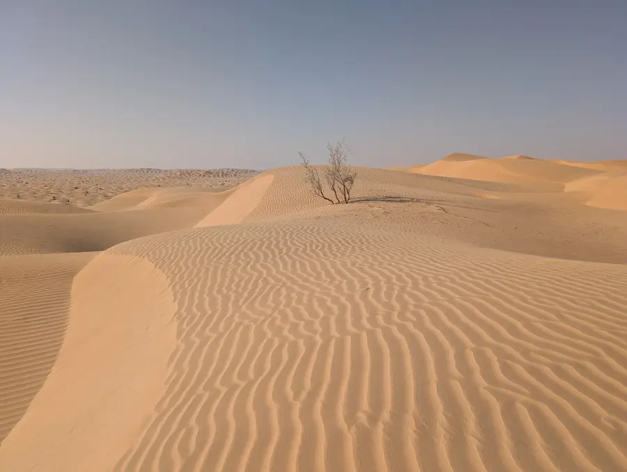 Ramlat Jadilah — Ubar (Shisr) (Oman)