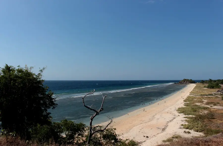 Egydolláros part