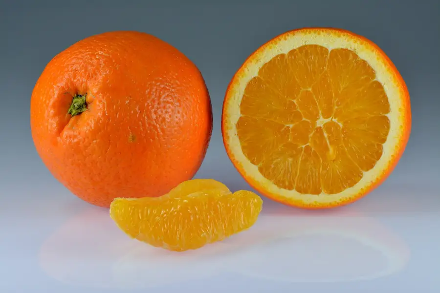 Orange River Forschungsstation