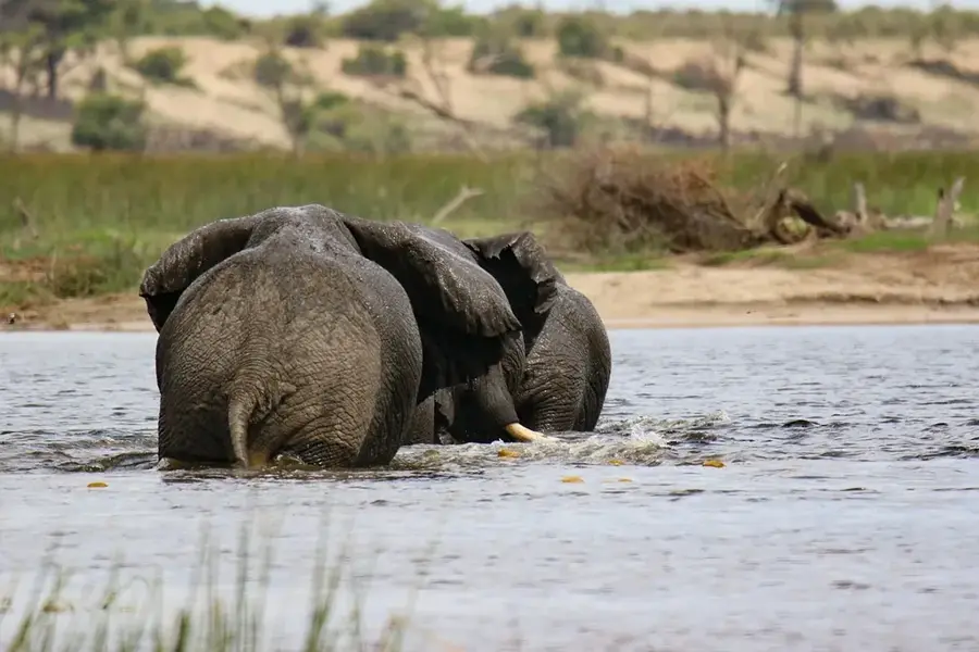 Mina de diamante Orapa — Depresiunea Letlhakane (Botswana)