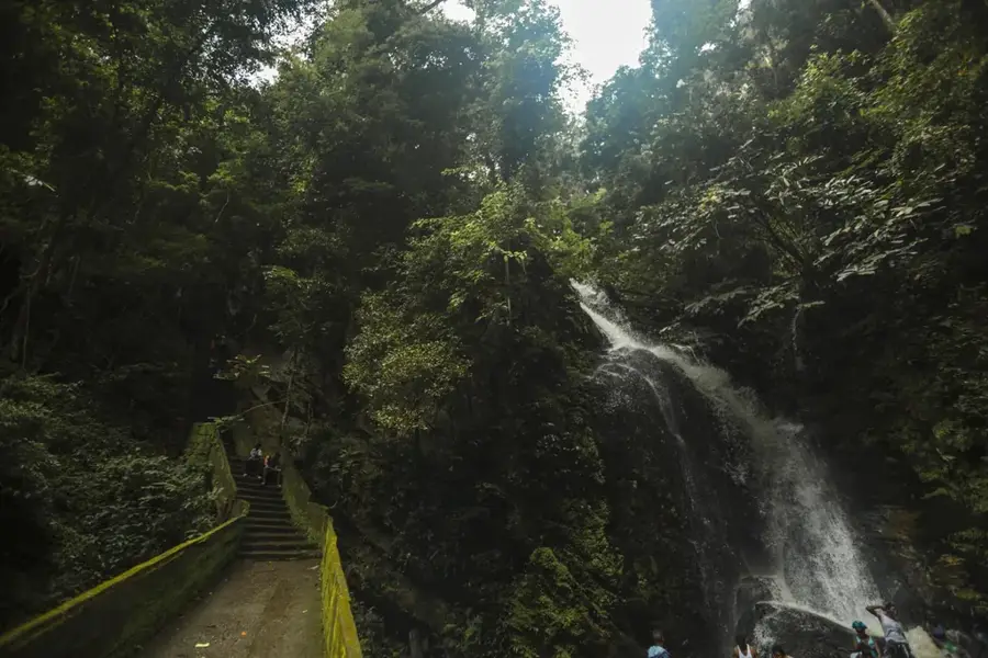Osun-Wald — Ife (Nigeria)