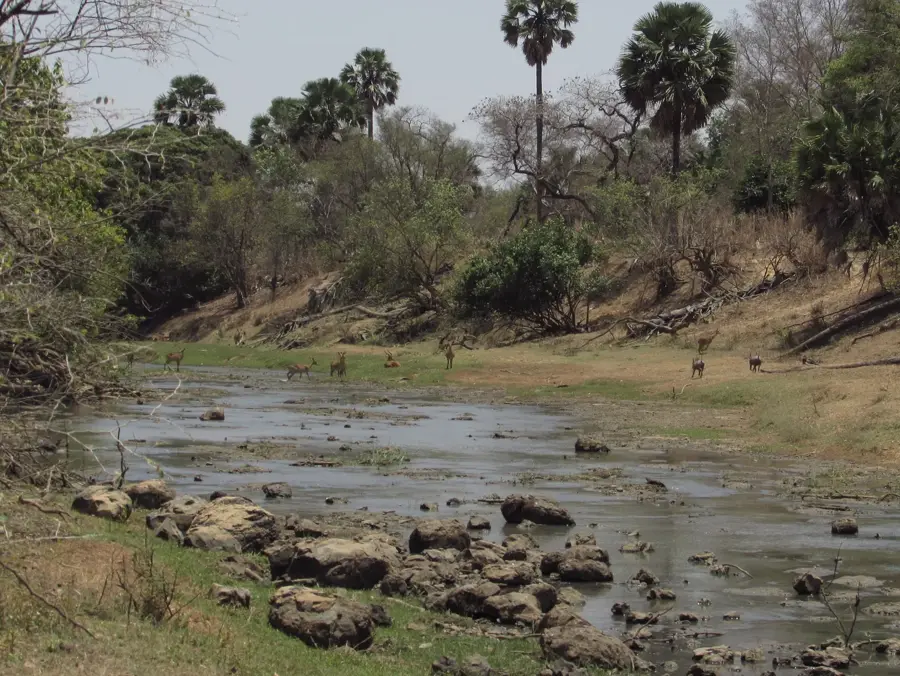 Oti — Versantul Buem (Ghana)
