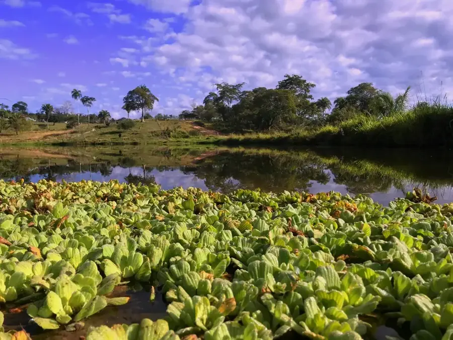 Otuquis National Park