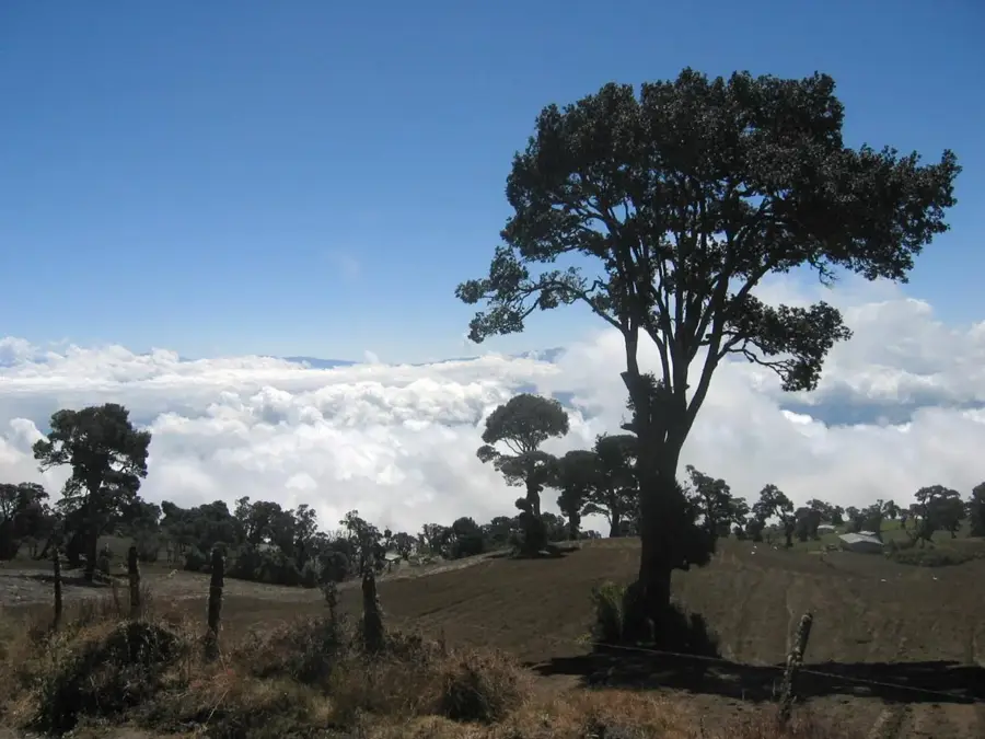 Pacayas — Sanatoriul Durán (Costa Rica)