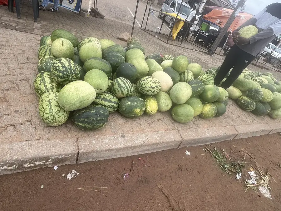 Fabrica de sticlă Palapye — Defileul Moremi (Botswana)