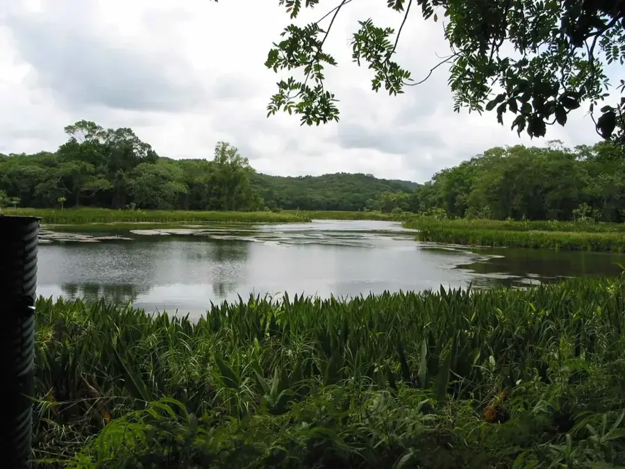 Ngardok-Becken — Mount Ngerchelchuus (Palau)
