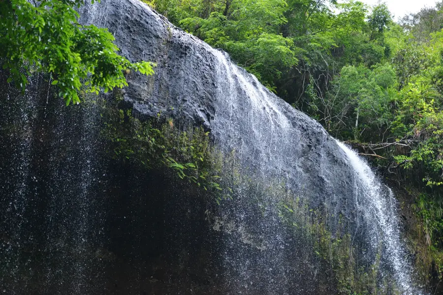 Ngiwal — Quallensee (Palau)