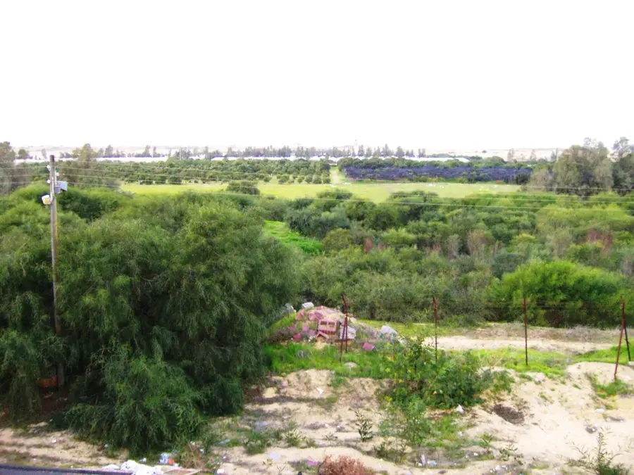 Al-Zawayda