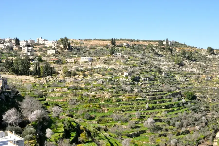 Battir Cultural Landscape