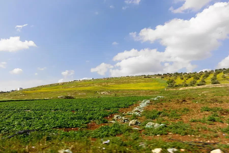 Wadi el-Far'a