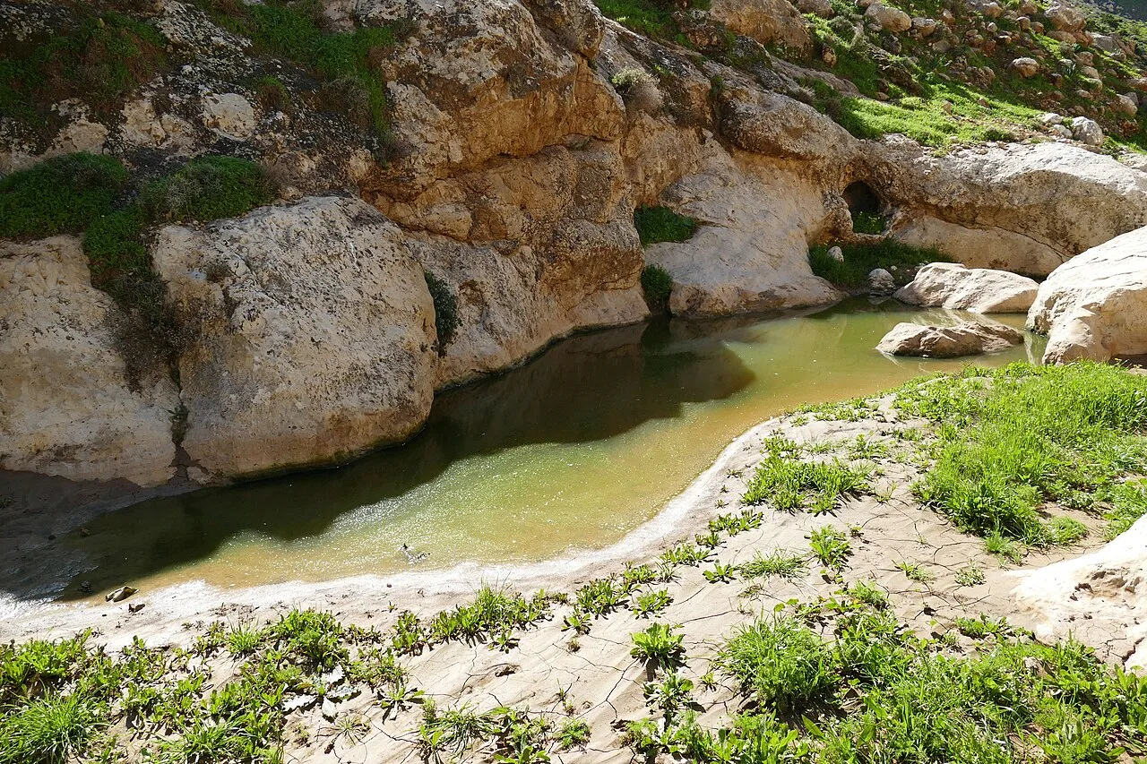 Wadi el-Mureijat Nature Area — Jordan River (Jordan)