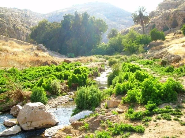 Wadi Qelt — St. George's Monastery (Palestinian Territories)