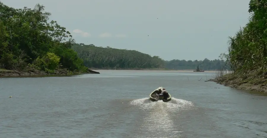 Pando Brazil Nut Region