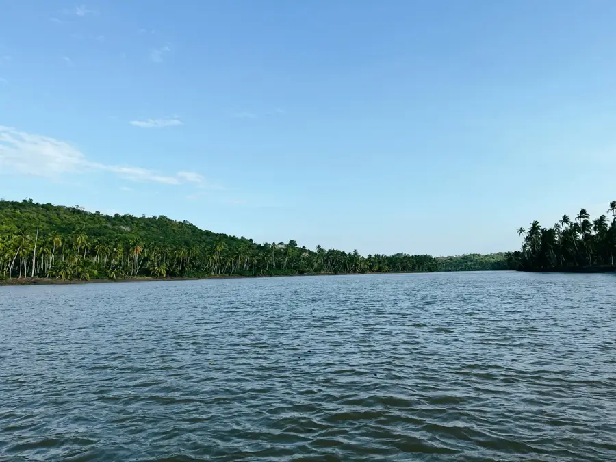 Pangani