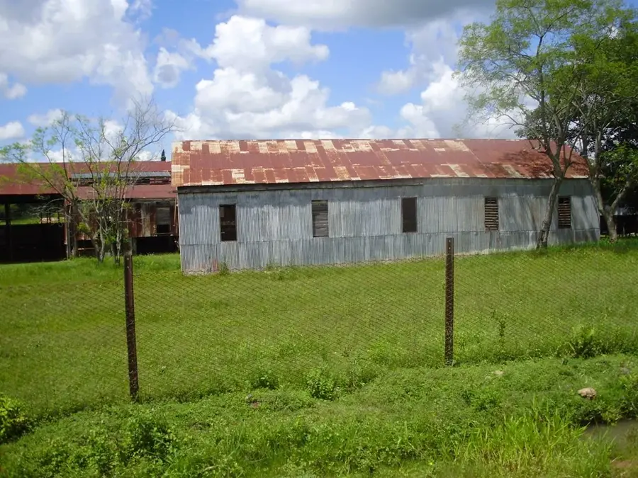 Sapucai