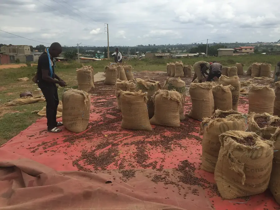 Soubré Állatpark — Grand-Béréby (Elefántcsontpart)