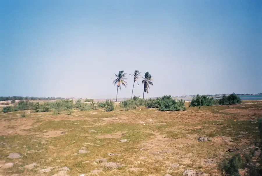 Langue de Barbarie National Park — Faidherbe Bridge (Senegal)