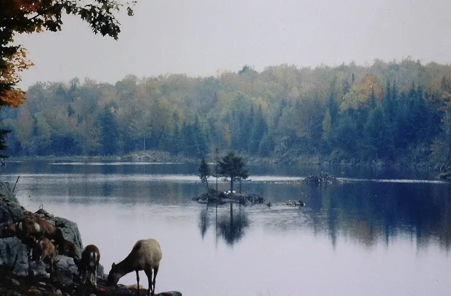 Parc Oméga