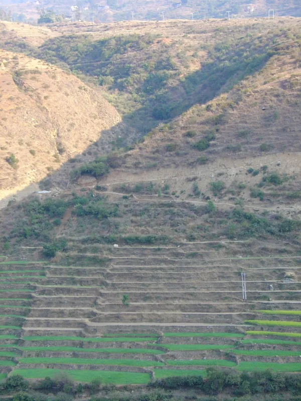 Paro Rice Terraces — Tango Monastery (Bhutan)