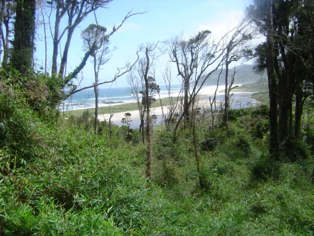 Nationalpark Chiloé