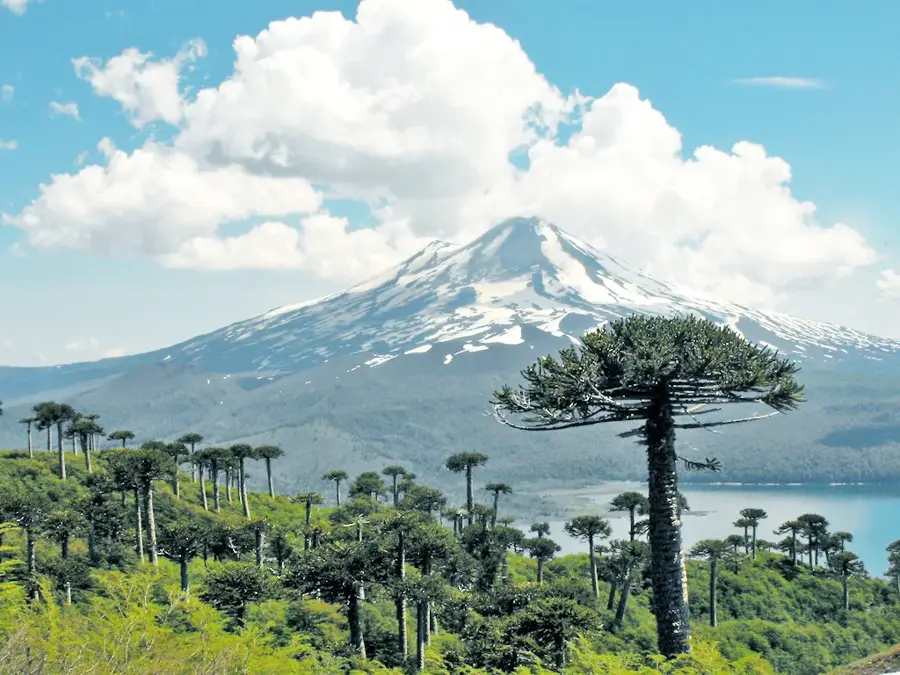 Nationalpark Conguillío