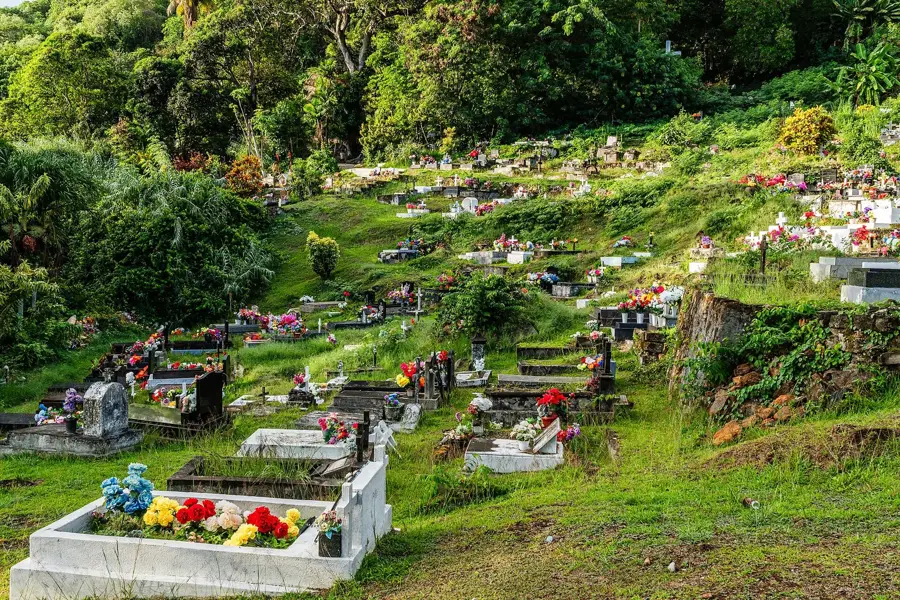 Câmpurile de patchouli din Mahé — Quatre Bornes (Seychelles)