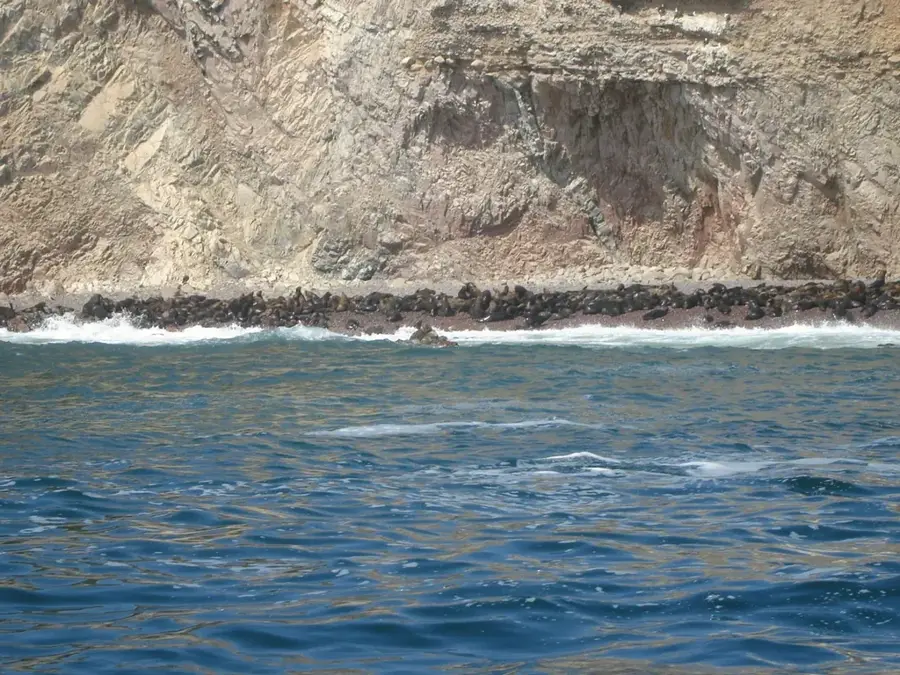 Ballestas Islands — Huacachina Oasis (Peru)